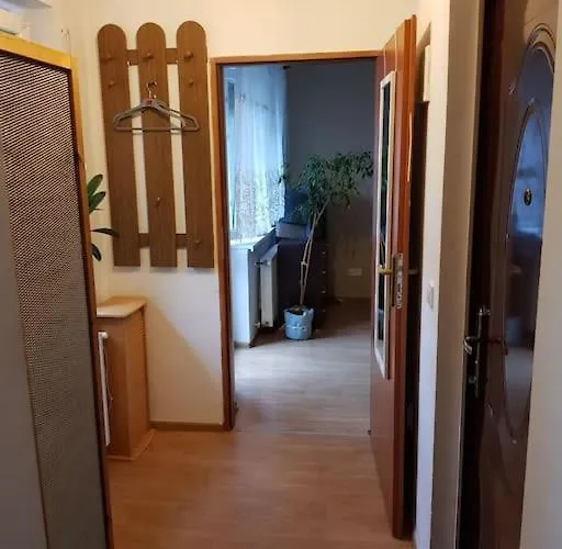 Noc W Centrum Apartament *